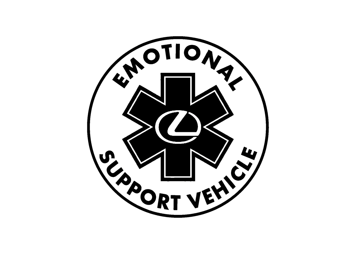 Emotional Service Vehicle (H-M)