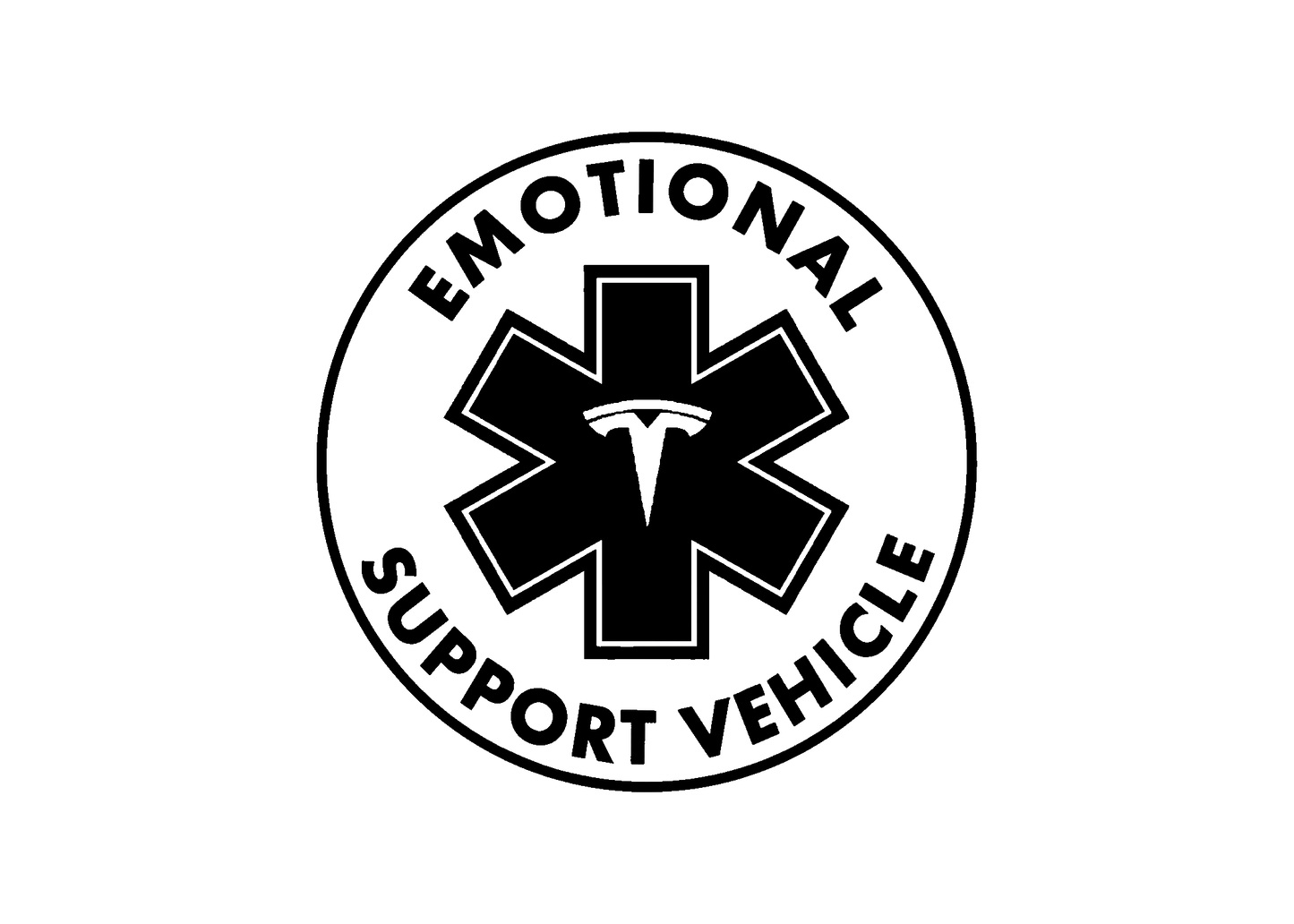 Emotional Service Vehicle (N-V)